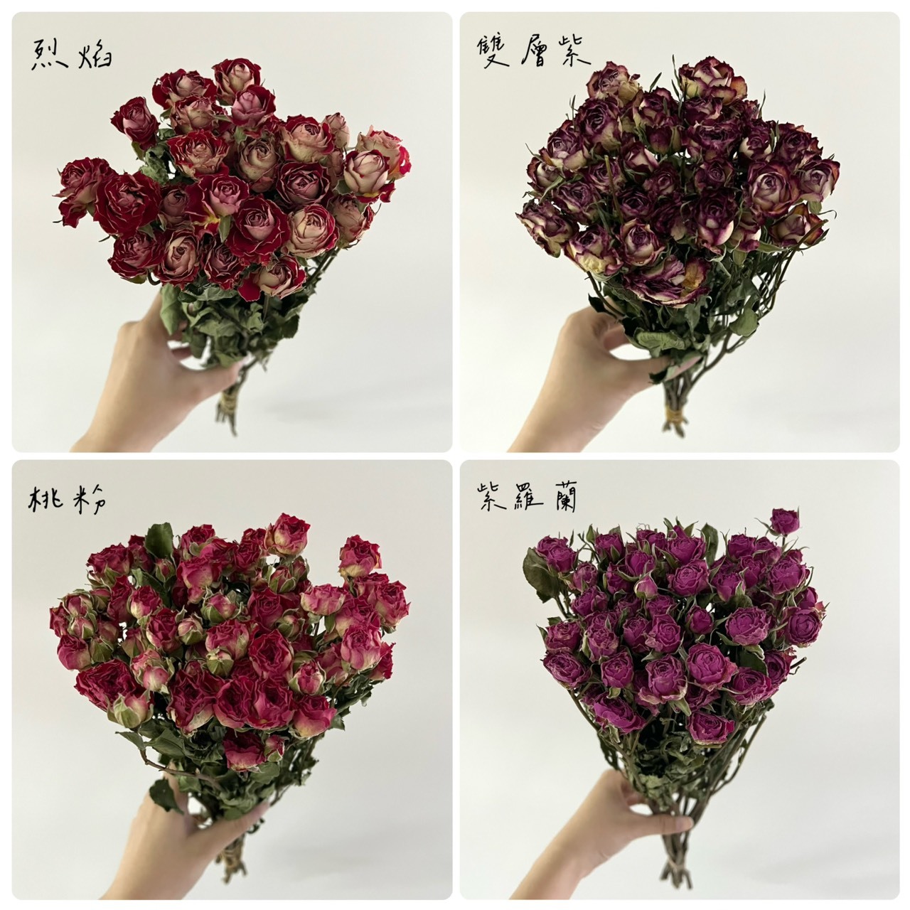 乾燥迷你玫瑰