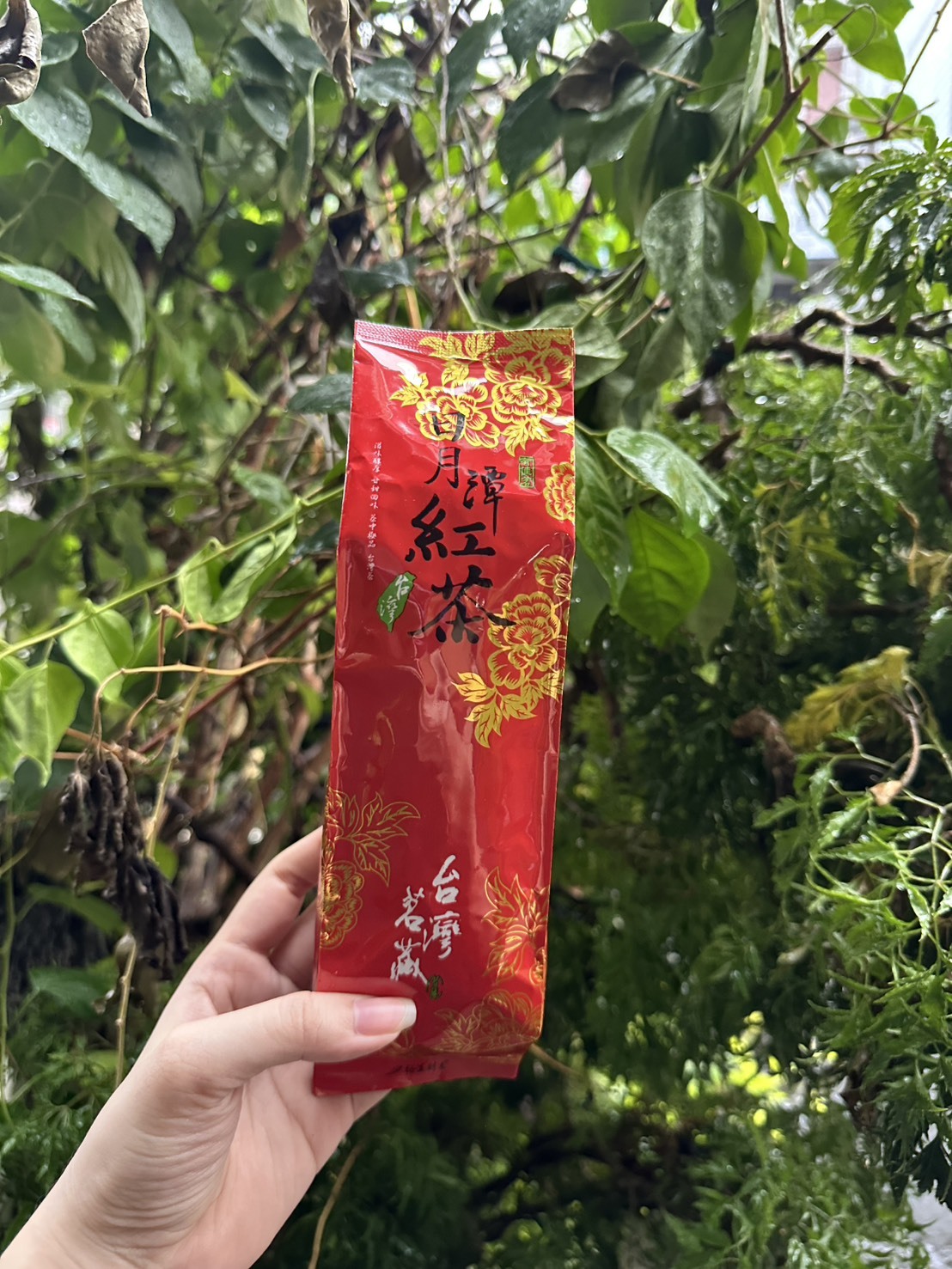 日月潭紅茶 紅玉  75公克，附紙盒