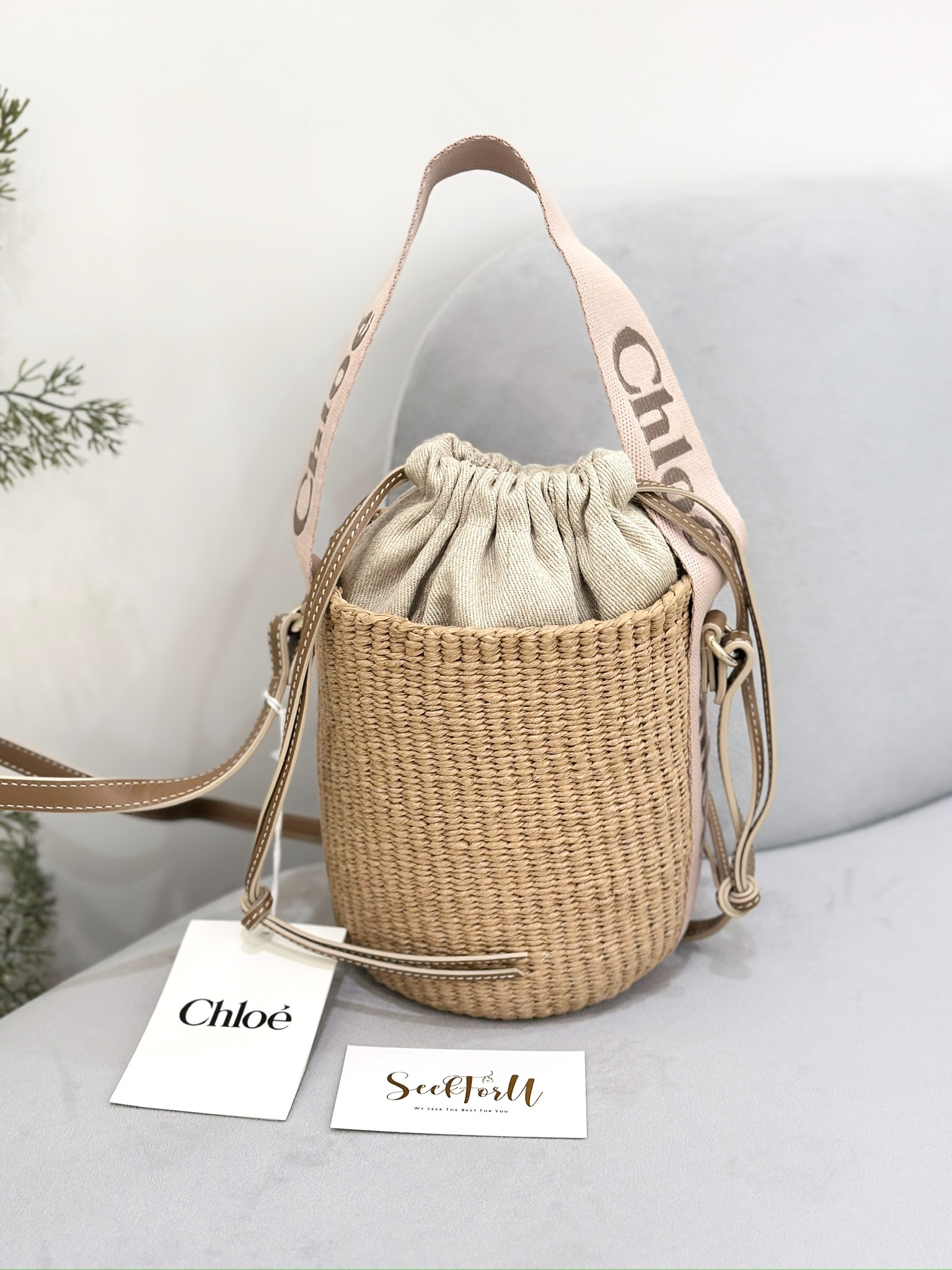 CHLOE Woody Small Basket