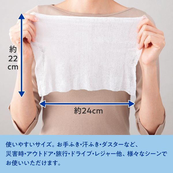 【人氣之選】JP 迷你壓縮毛巾 10粒 24x22 1401