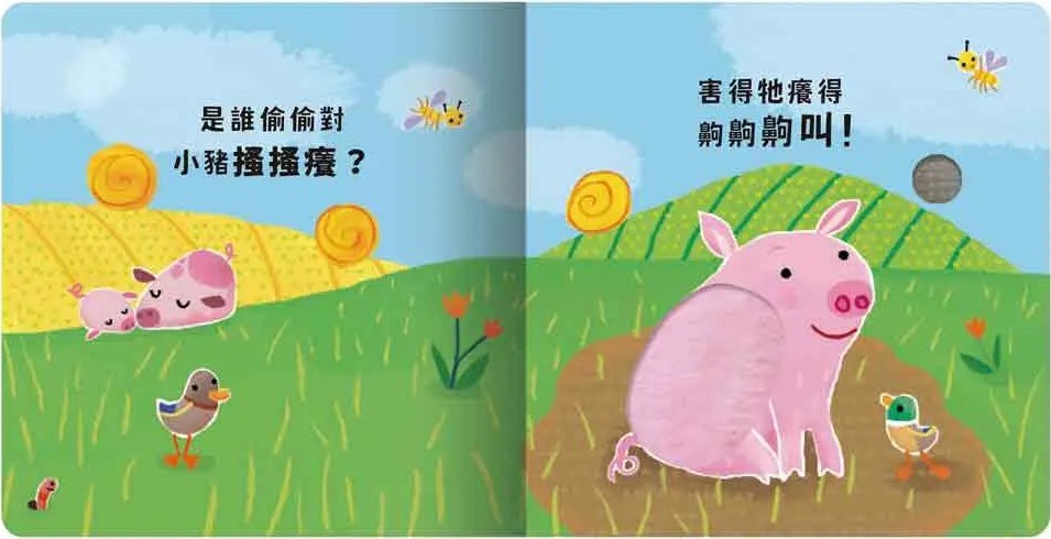 Never guji 小豬搔搔癢！