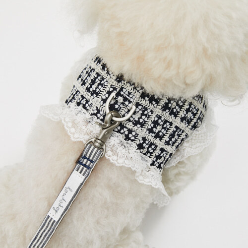 Louisdog Lucky Clover胸背組