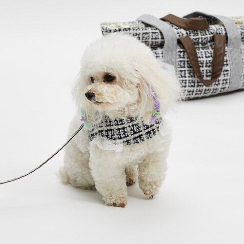 Louisdog Lucky Clover胸背組