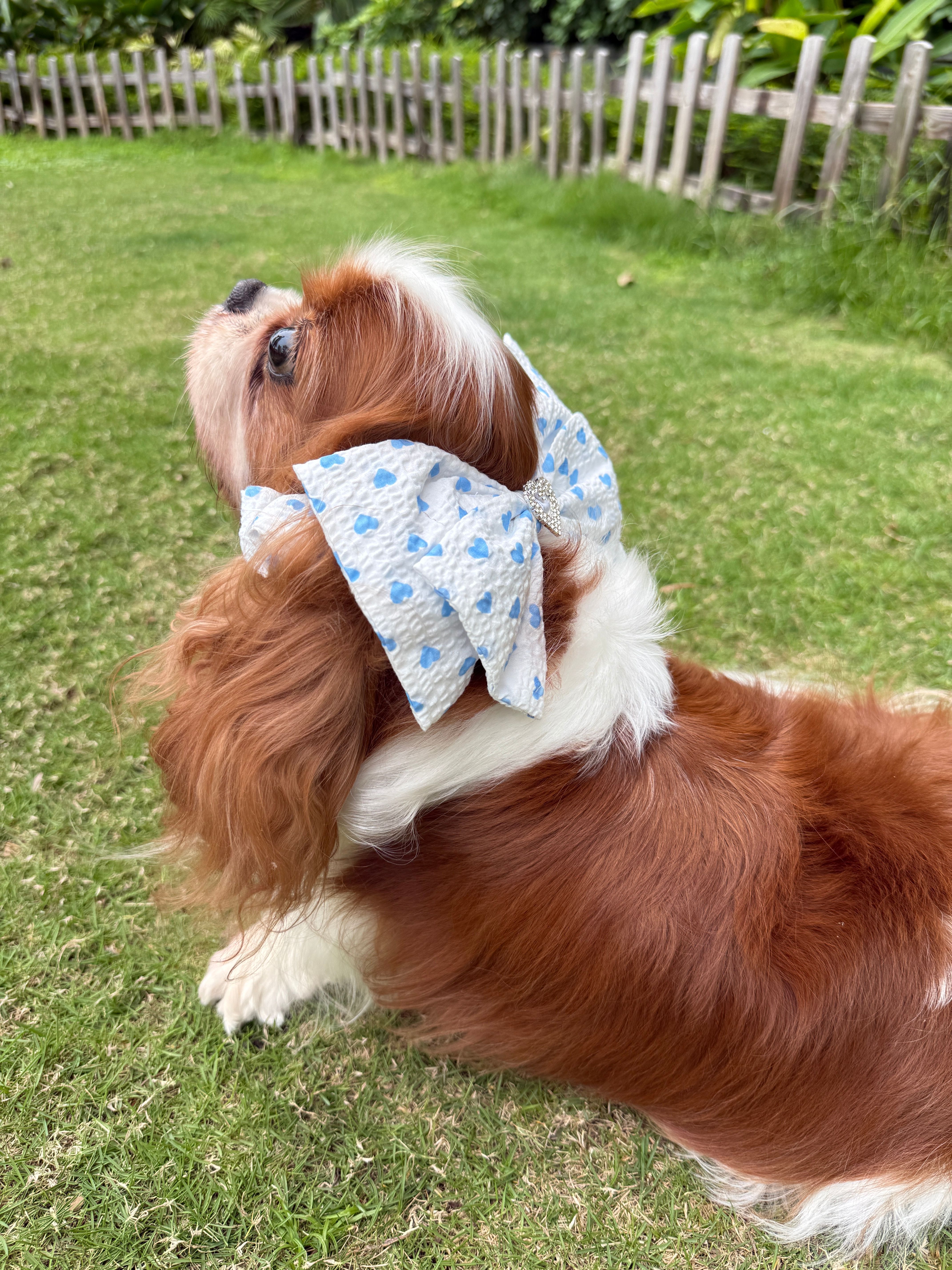 Blue Heart Hair Wrap