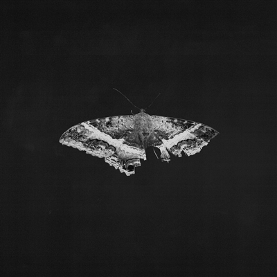 Kendrick Lamar - To Pimp A Butterfly (10 Year Anniversary Edition) 2LP METALLIC BLENDS