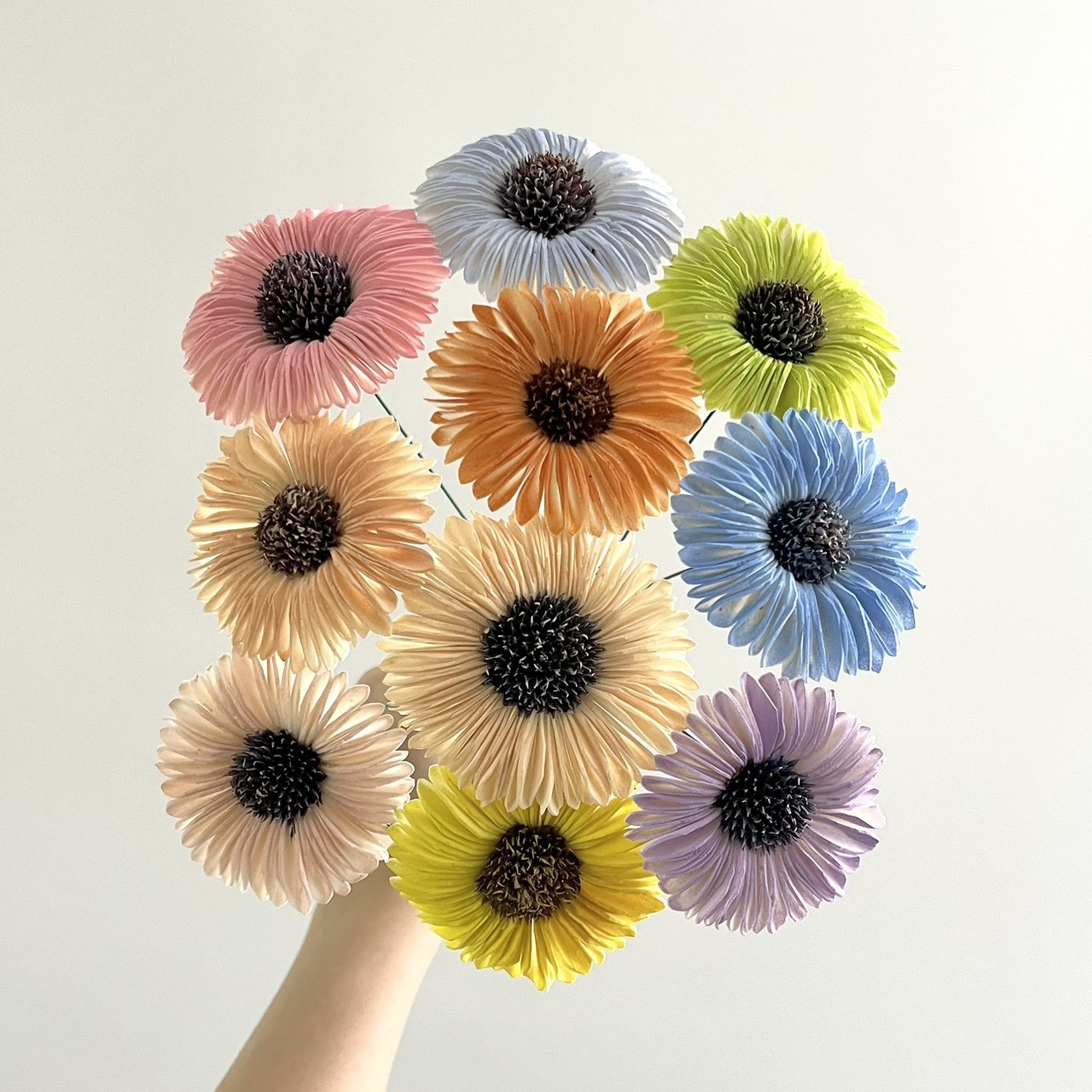 印度索拉噴色太陽花 6-7CM <10支一把>