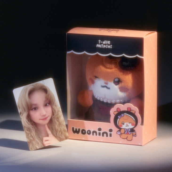 韓代頑童- i-dle We are minini PLUSH 娃娃預購