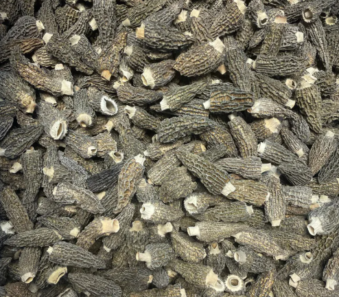 Z154 精選羊肚菌 75g/包2両裝(80-120隻) $108