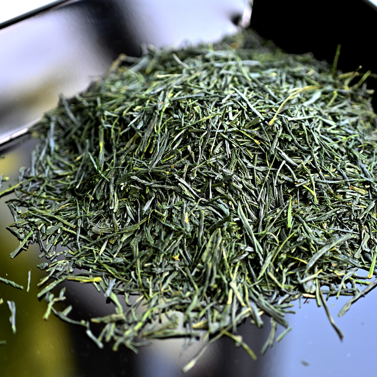 上林春松本店 宇治新茶 新茶 京錦 【綠茶 / 宇治茶】極上煎茶 【新茶】