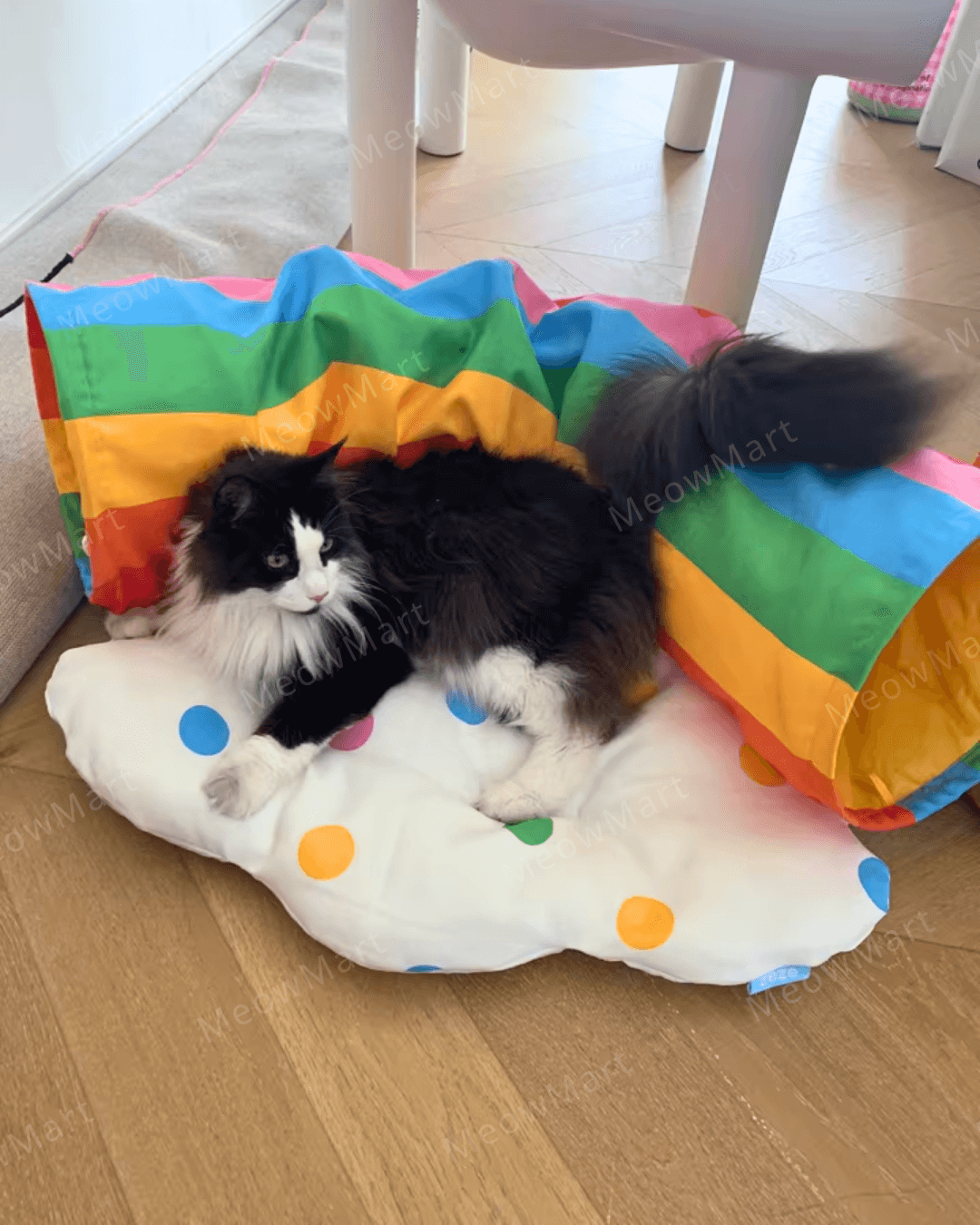 繽紛彩虹隧道貓窩