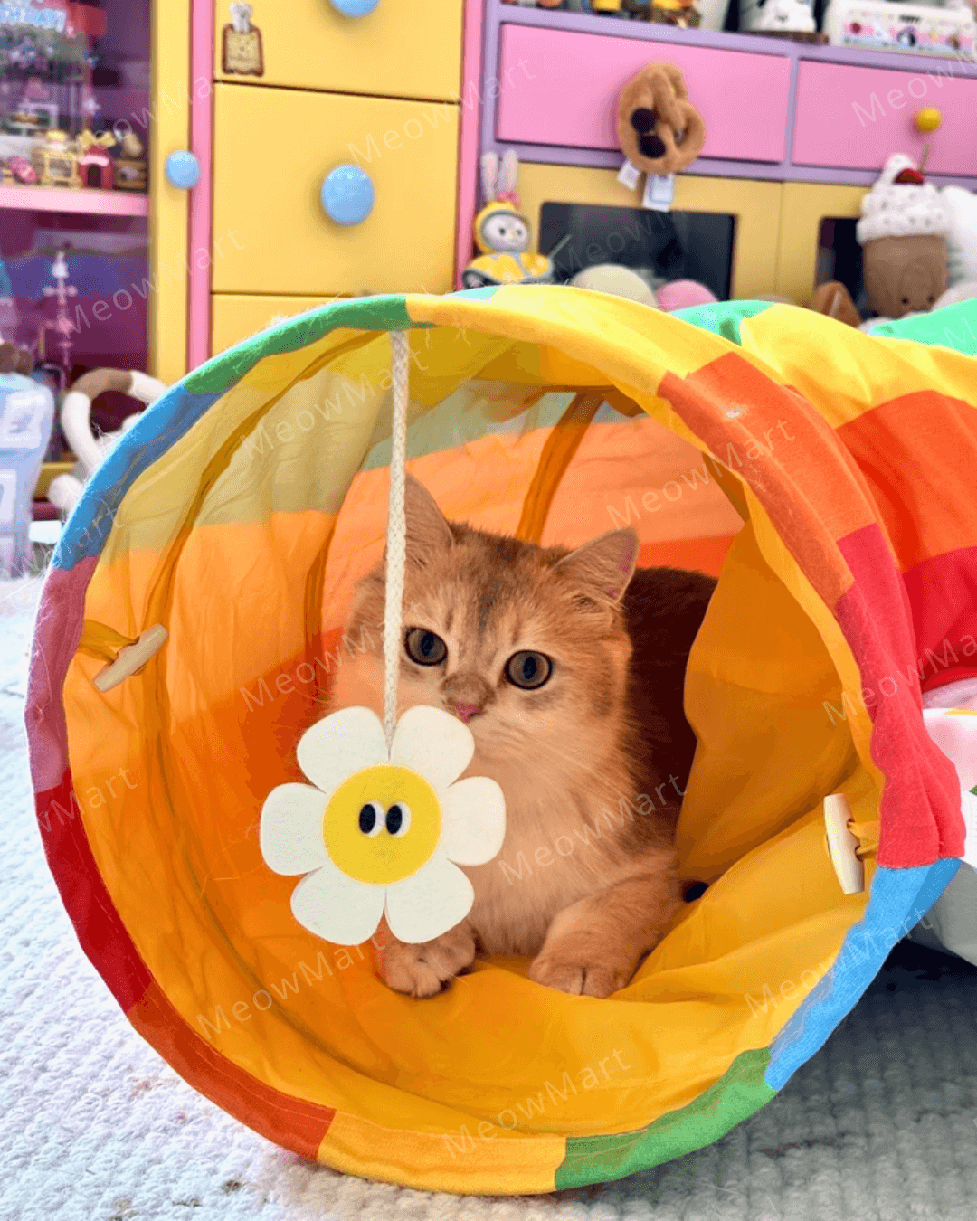 繽紛彩虹隧道貓窩