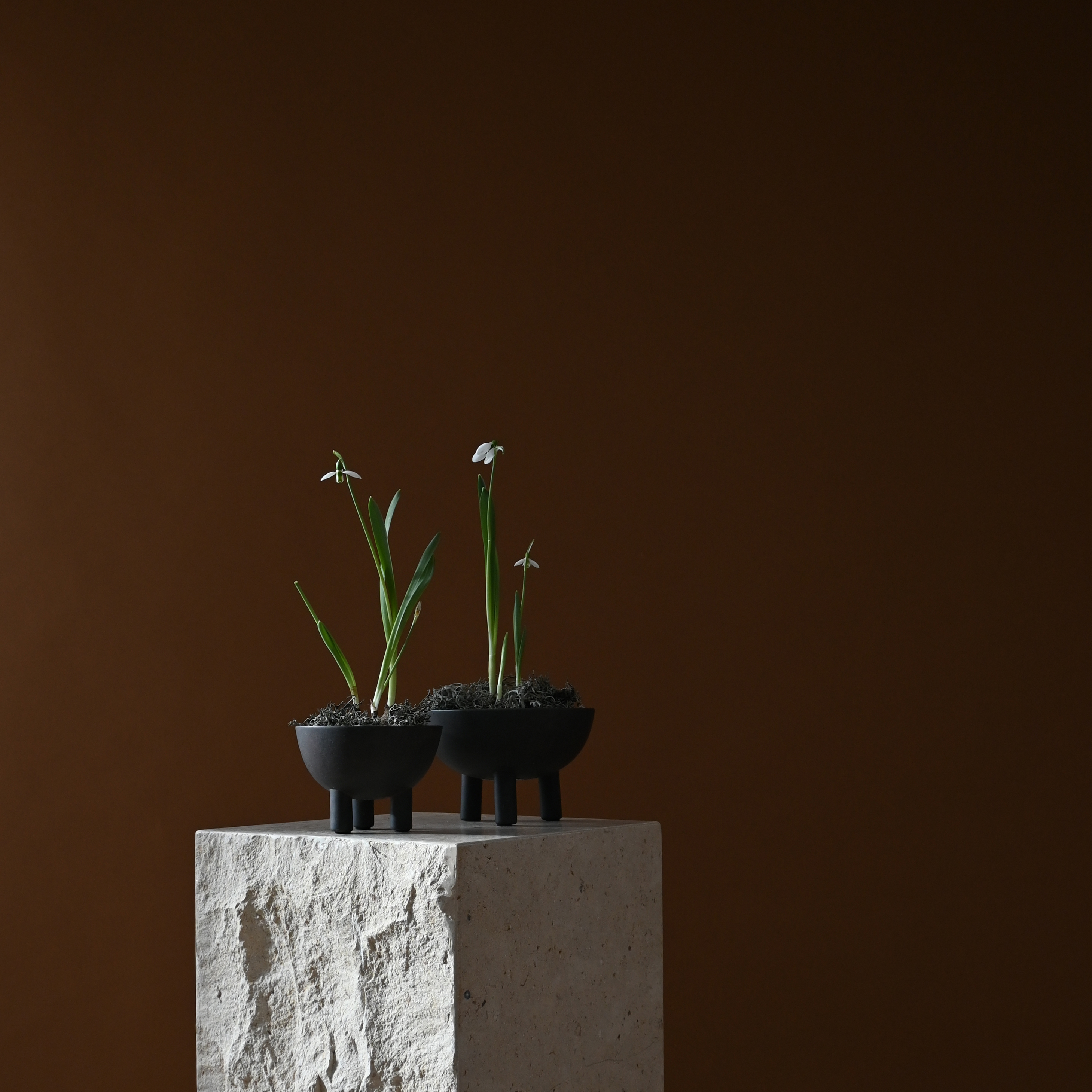 101CPH 鴨碗/中 咖啡色