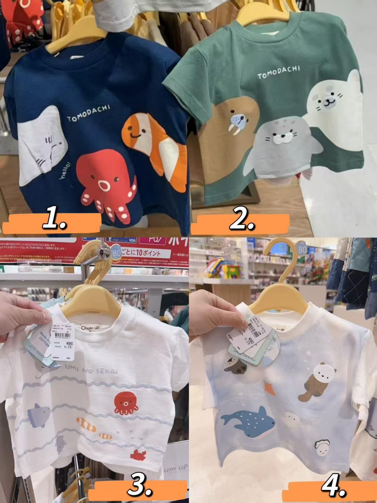 日單 chum up海洋系列