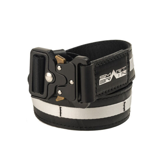 230713 Pbandai 預訂 2025/8月 仮面ライダー555×SEAL　タクティカル ベルト　SMART BRAINモデル