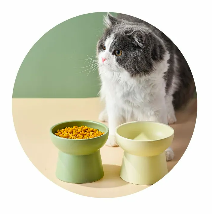 DAH - 抹茶綠高腳陶瓷餵食碗 (H10cm)