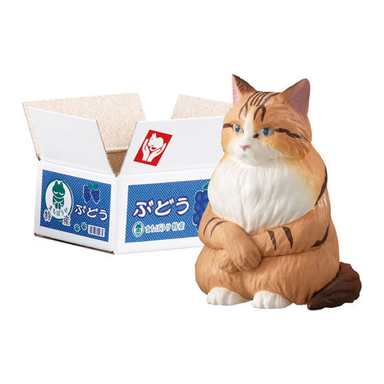 【現貨】紙箱等待貓貓扭蛋(全5種)