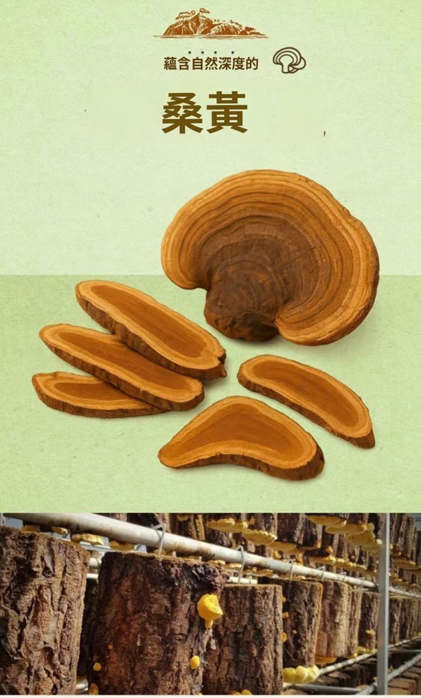 (3147)【多件優惠】韓方桑黃100g