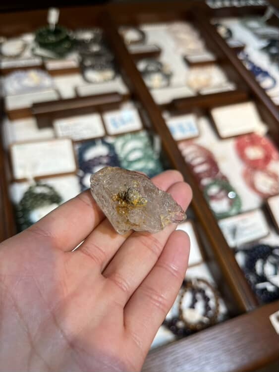 骸骨原石()(S-DS24)