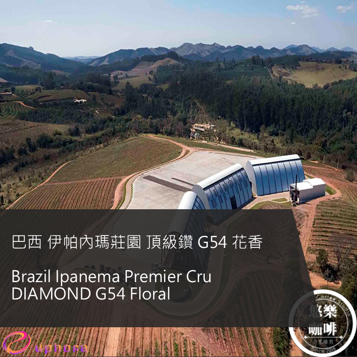 巴西 伊帕內瑪莊園 頂級鑽 G54 花香