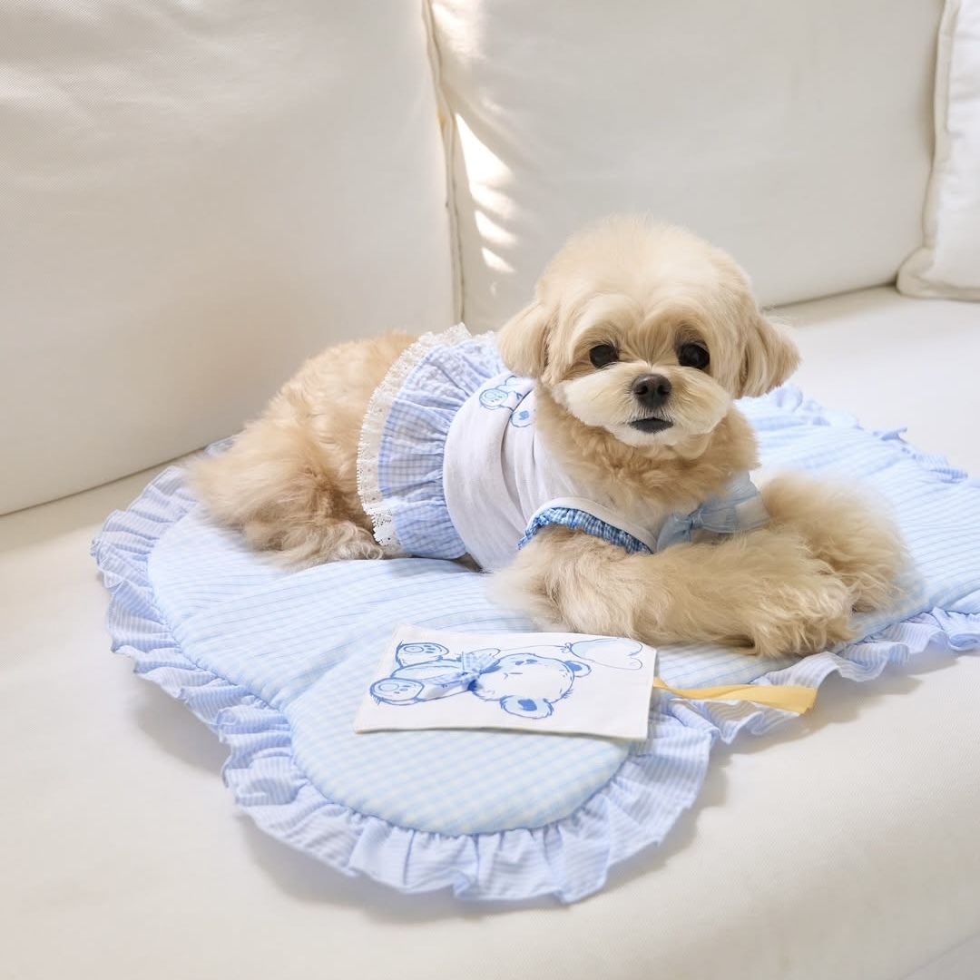 涼夏Bear熊熊裙-嬰兒藍- 韓國it’s 寵物衣服 寵物服飾 狗衣服 狗洋裝