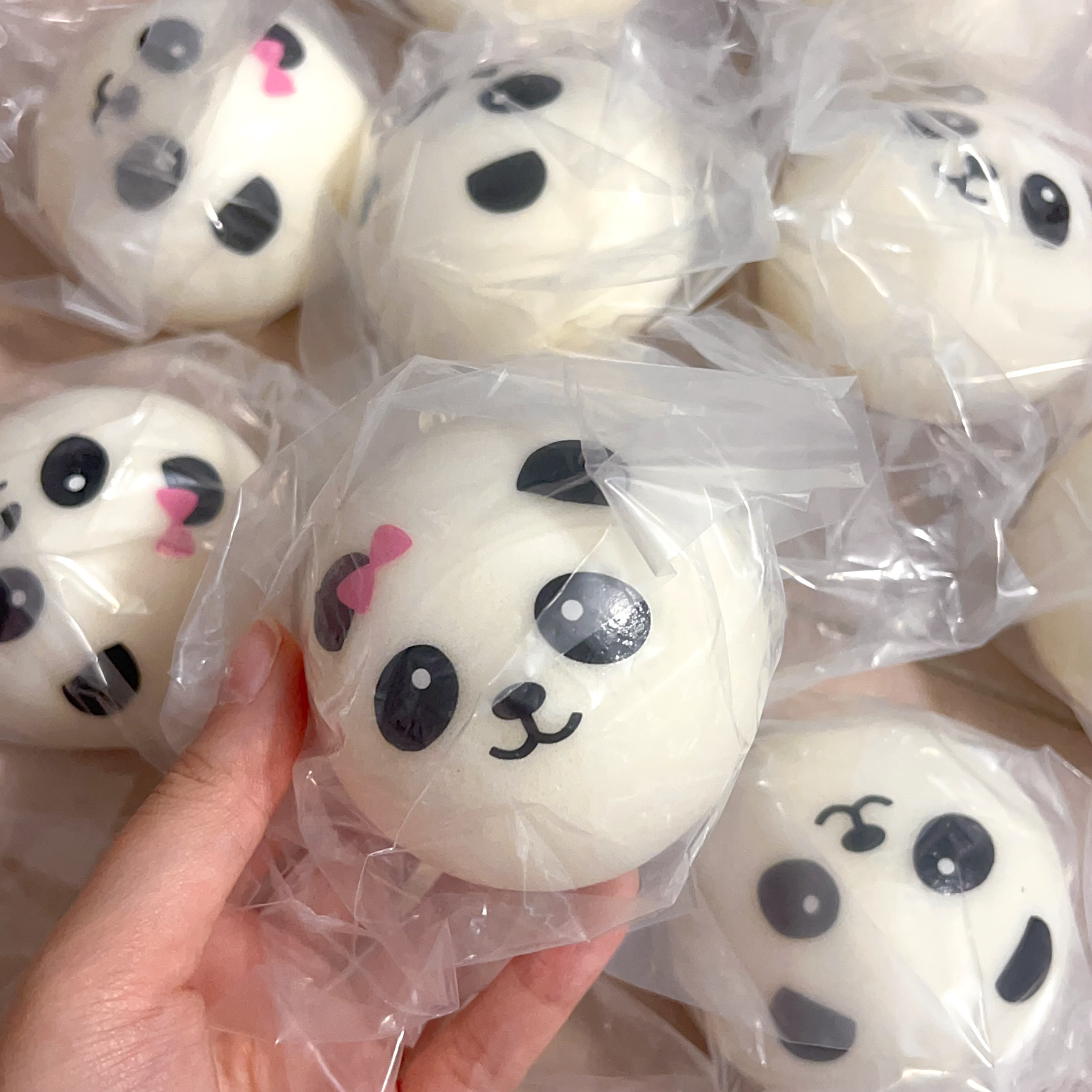 Free Panda Bun for Tagging me back❤️