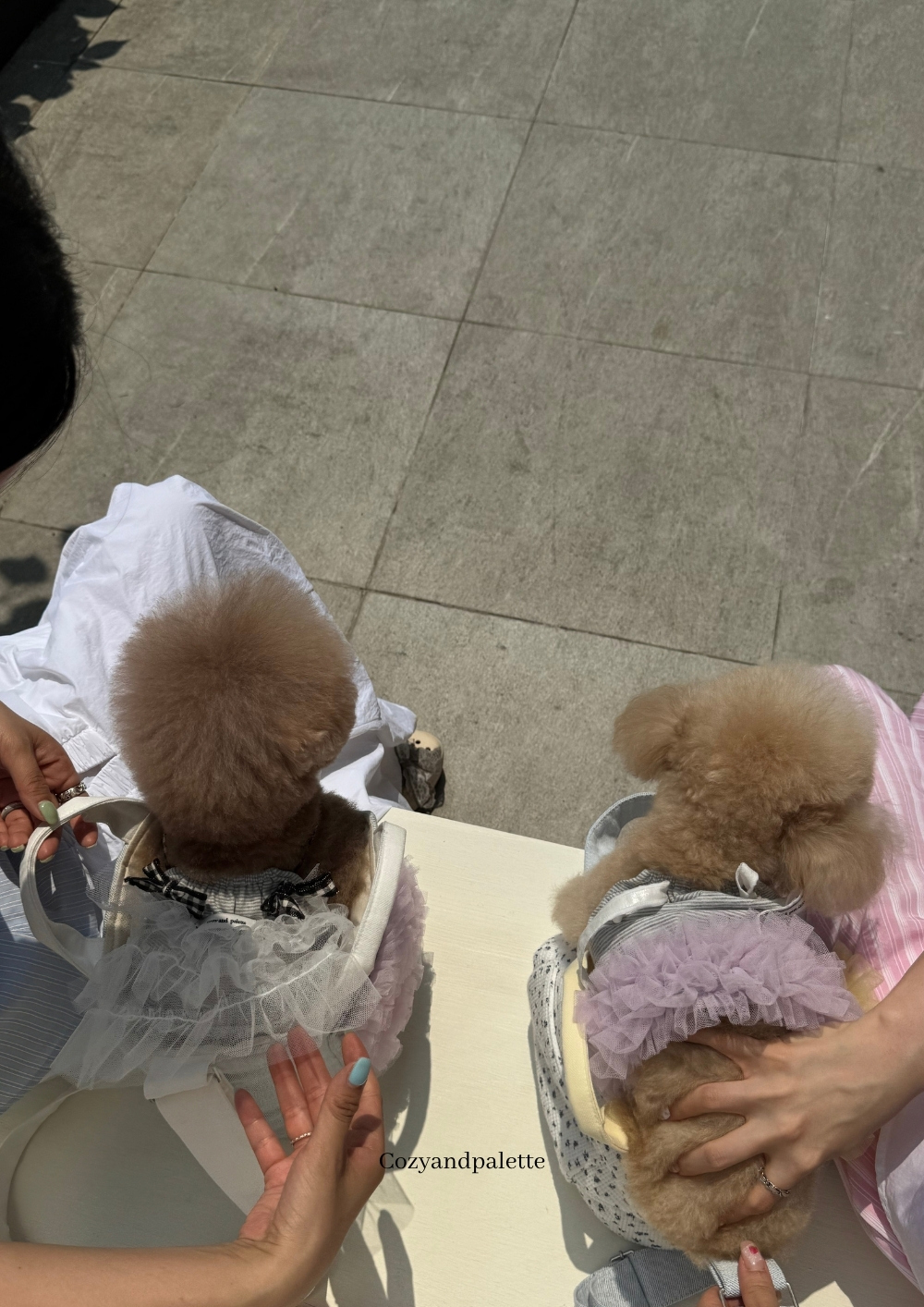 COZY-N 晨光泡泡紗裙