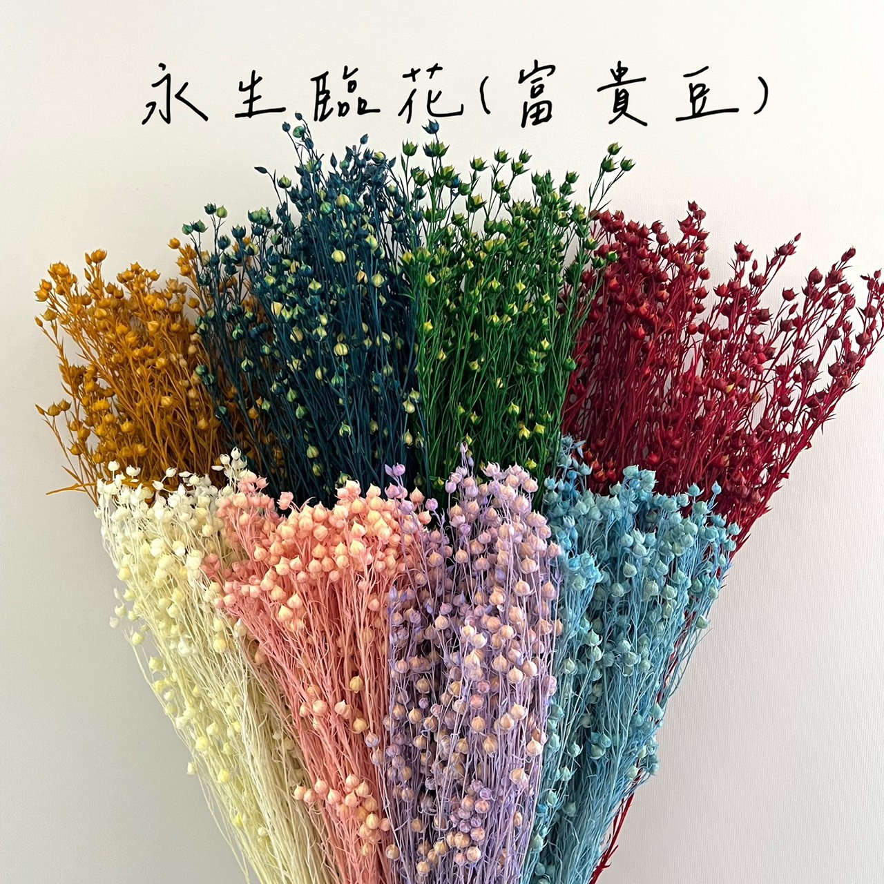 永生臨花(富貴豆)