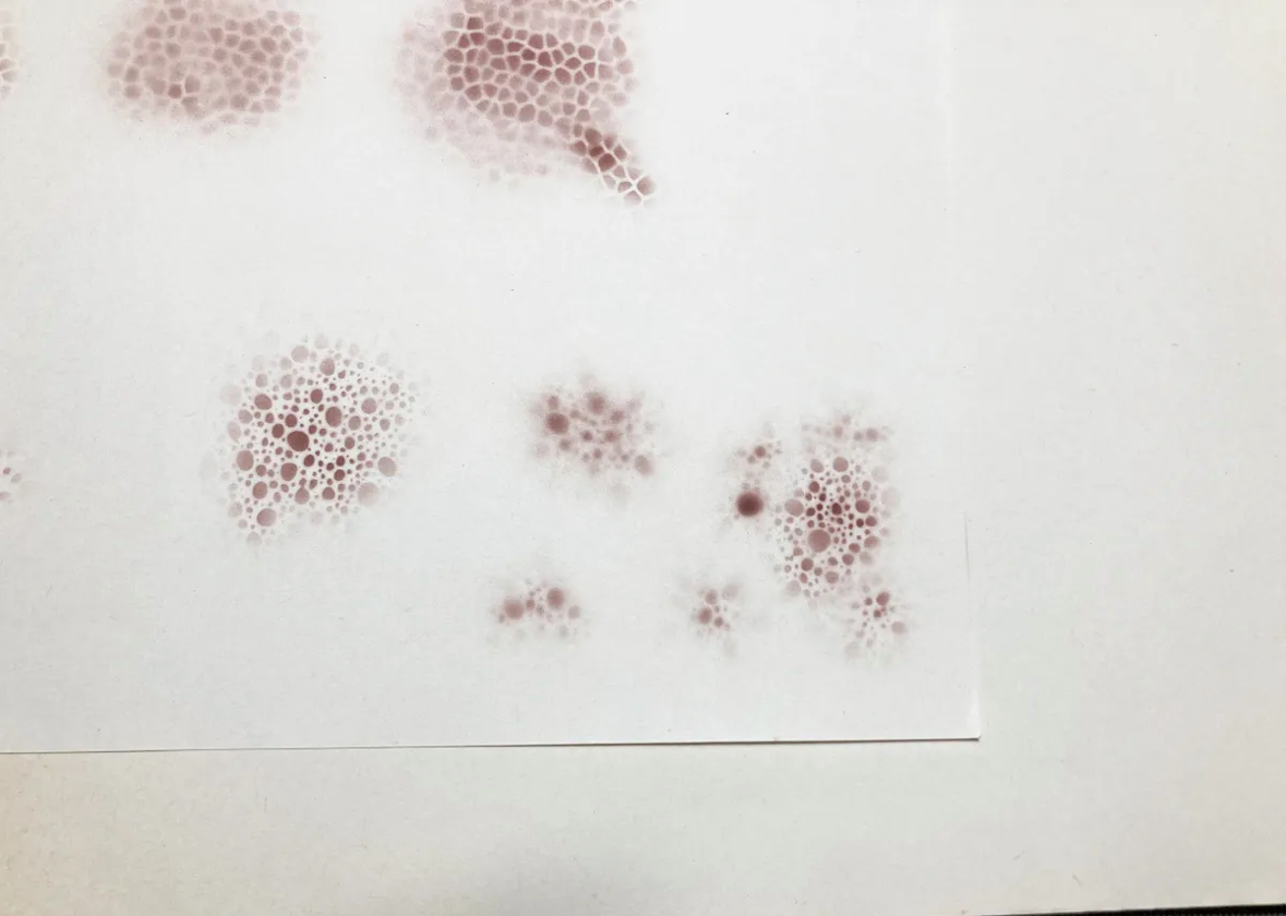 MADWORKS MT-41 特殊塗裝用質感遮噴板1-生物紋理特效遮噴版