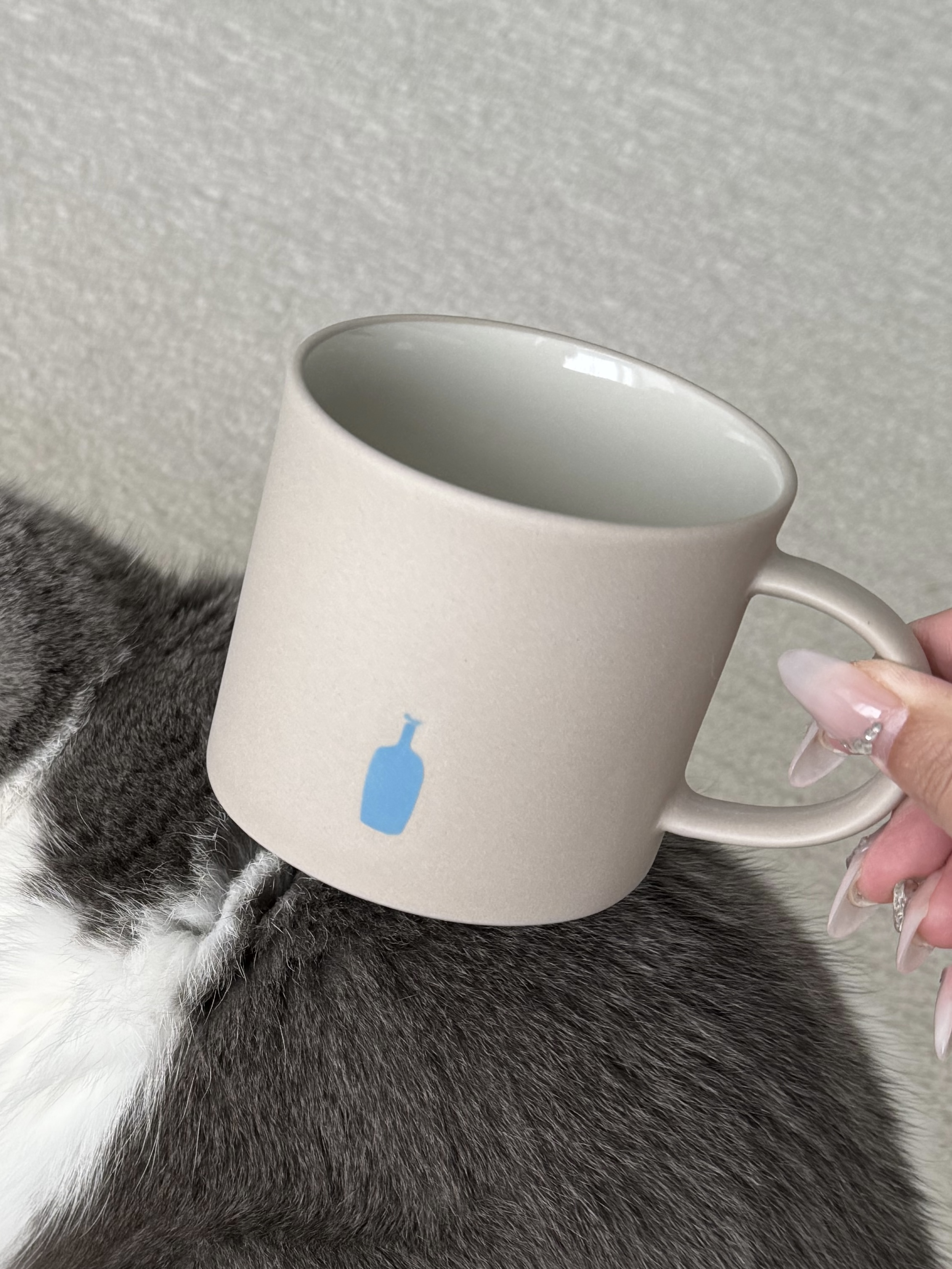 🇯🇵 BLUE BOTTLE X MOHEIM 藍瓶咖啡 玻璃杯 石杯 / 預購