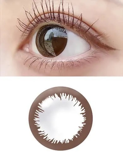 [雙週拋]Angel Eyes 2 Week Vivid Brown｜雙週拋彩妝隱形眼鏡｜每盒6片