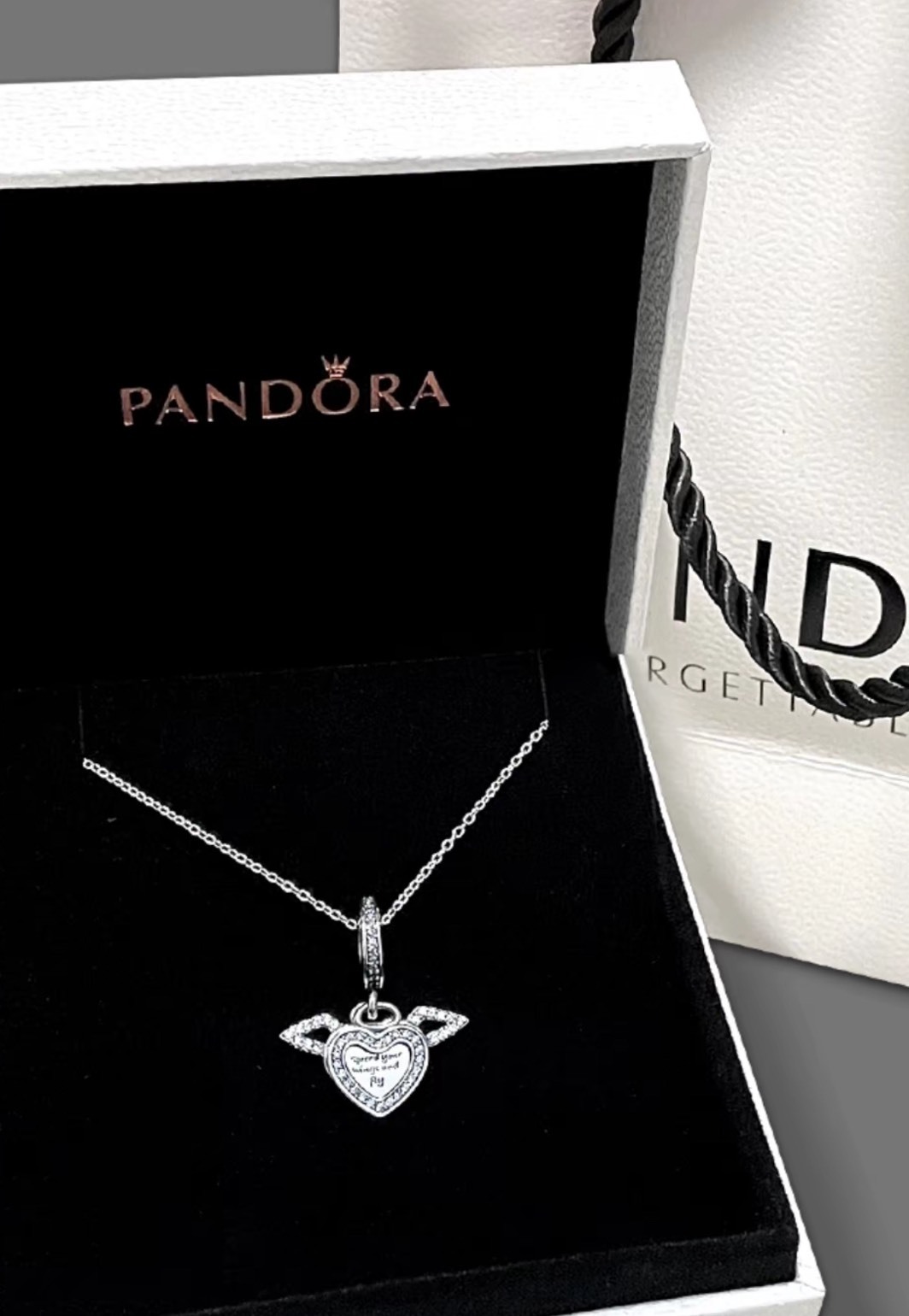 Pandora 閃耀天使之翼 925銀項鍊｜比翼雙飛 情侶禮物 女款