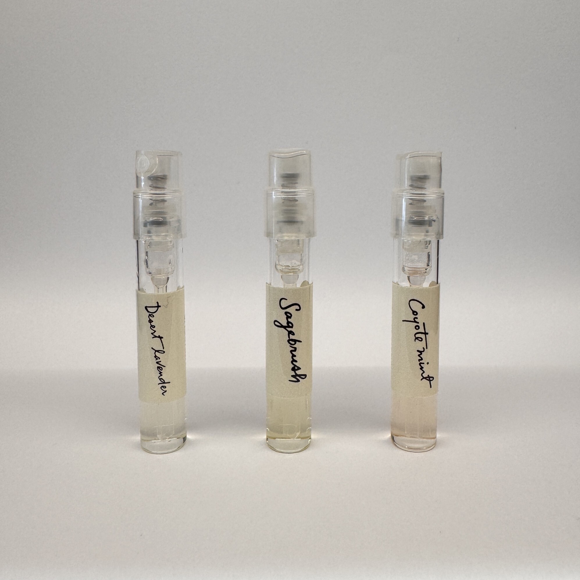 SAGUARA 針管小香