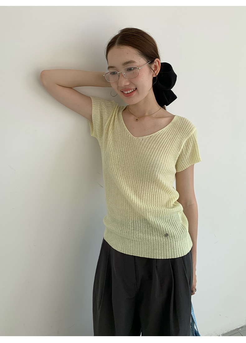 6W08 微透膚感直紋針織上衣 六色