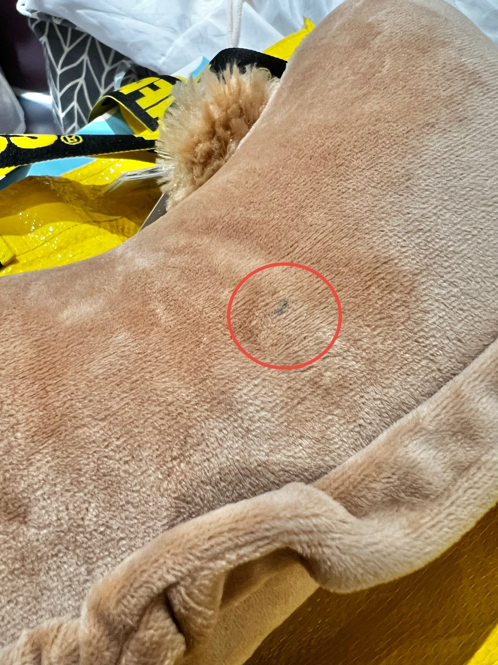 (全新NG品現貨) 達菲 Duffy 絨毛大頭 骨頭造型 頸枕 汽車用品 -香港迪士尼樂園