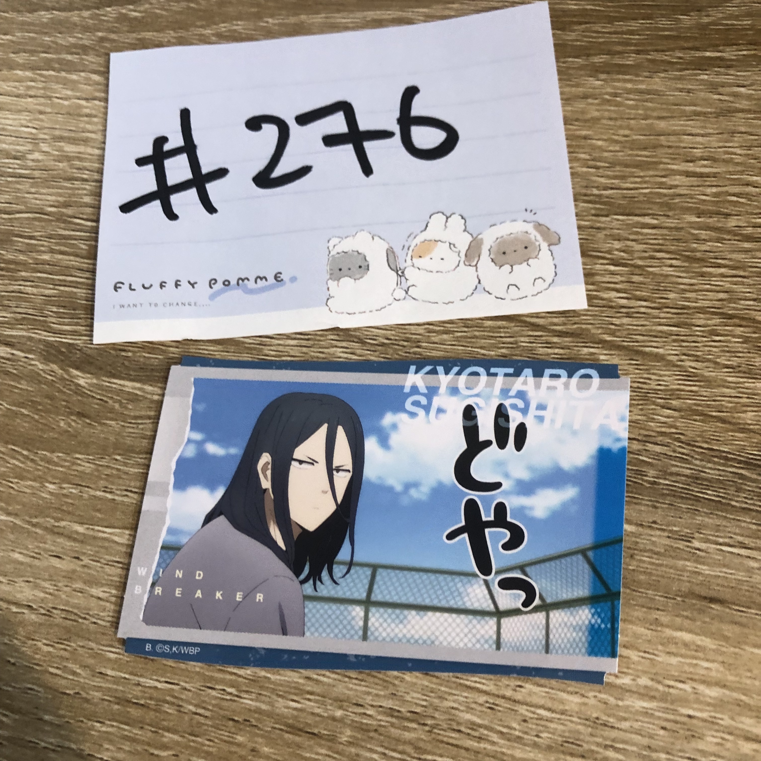 WIND BREAKER 杉下 貼紙#276