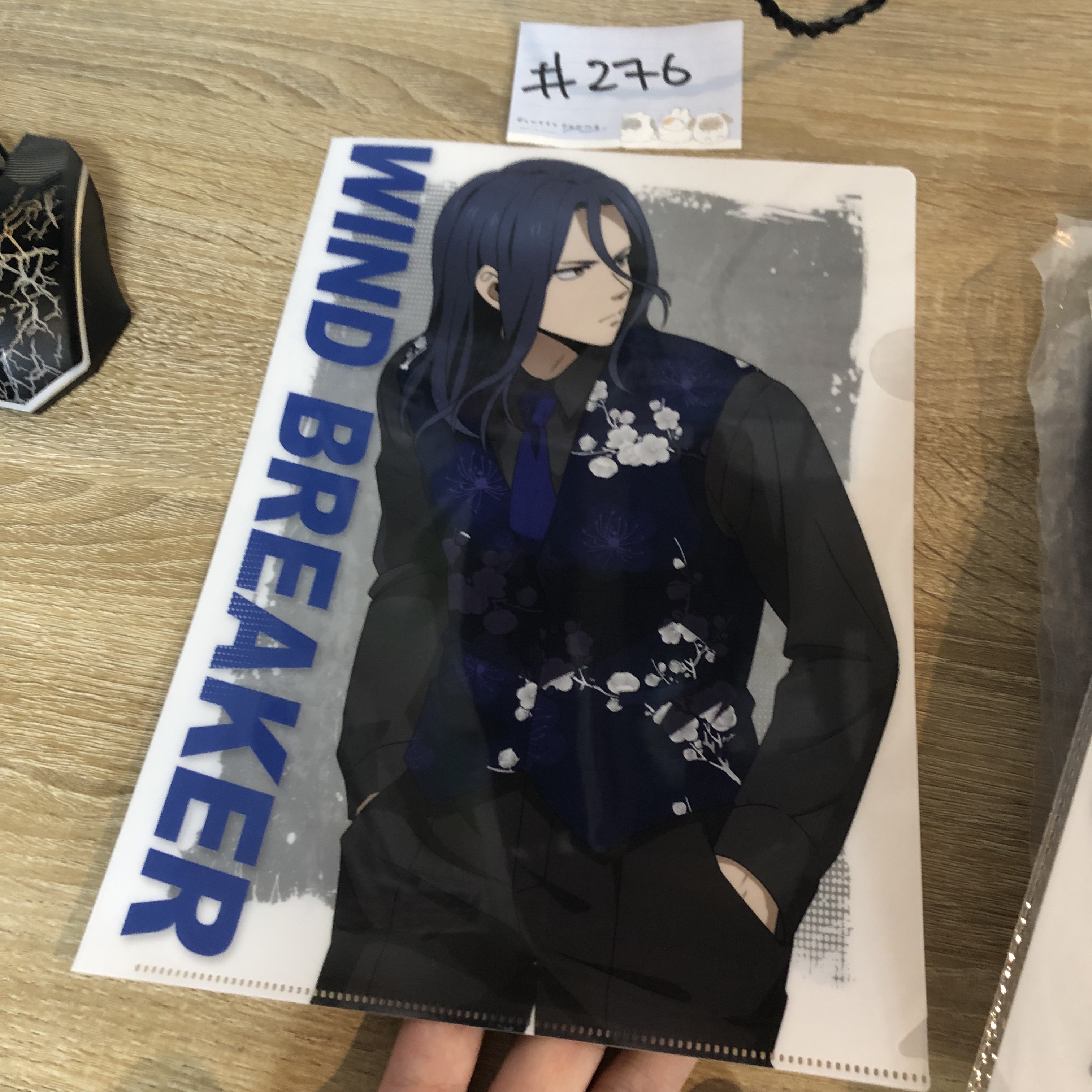 WIND BREAKER  杉下  FILE#276