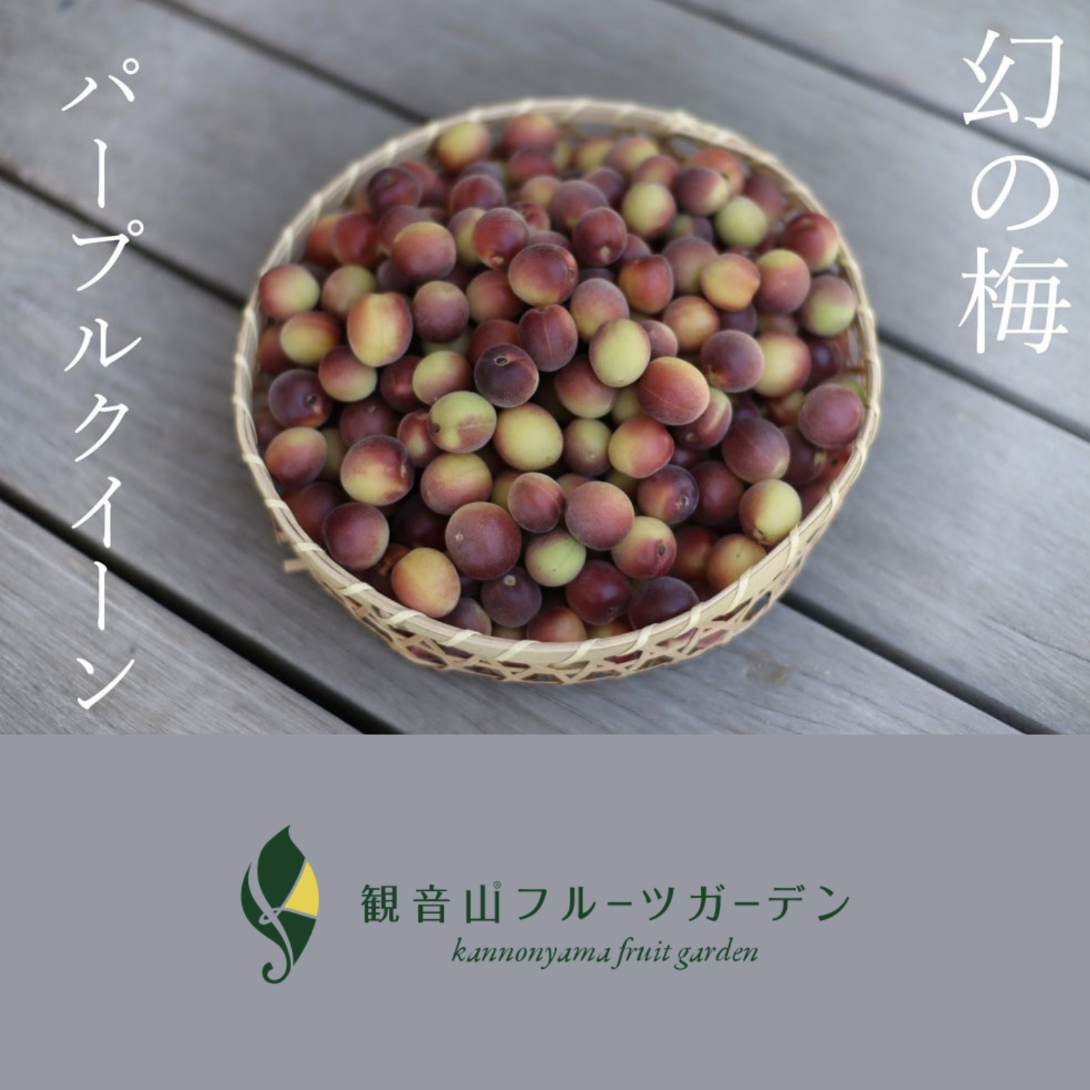 日本優質產品系列- 日本赤紫梅| 紫色女王
