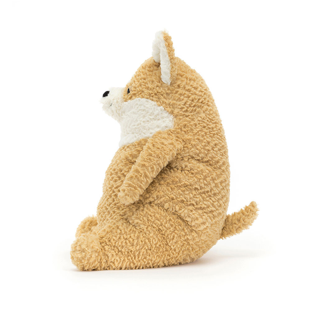 JELLYCAT 胖胖哥基狗 Amore Corgi