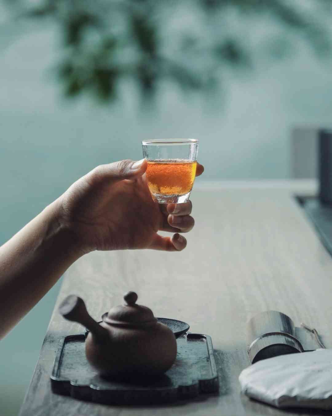 2009年古樹生普洱· 紫芽｜古樹普洱生茶—瑜茶舍