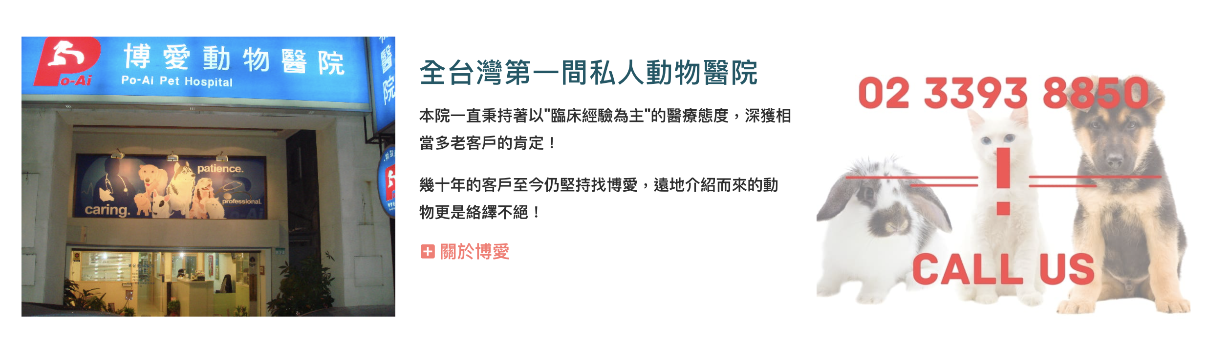 博愛動物醫院 推薦,台北 獸醫院 推薦,台北 動物醫院 推薦 博愛
