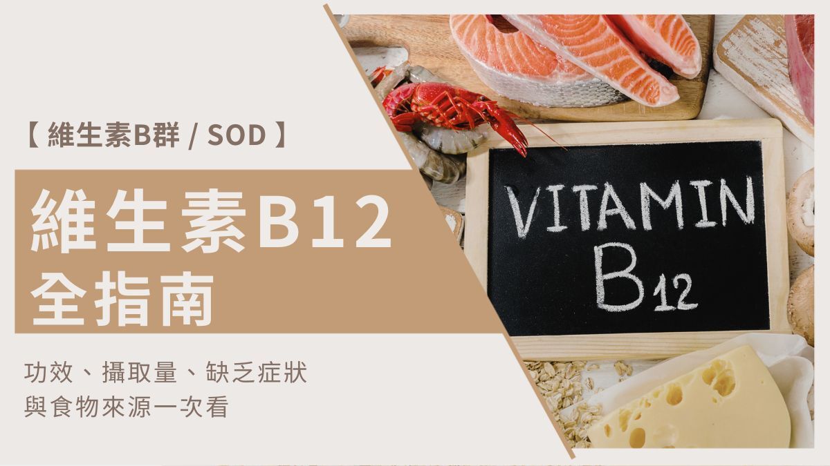 B12功效