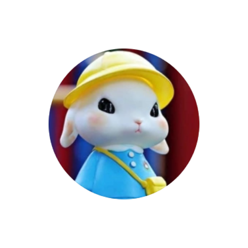 香港插畫師聯乘系列-2000針全棉床品4件套裝 LD05