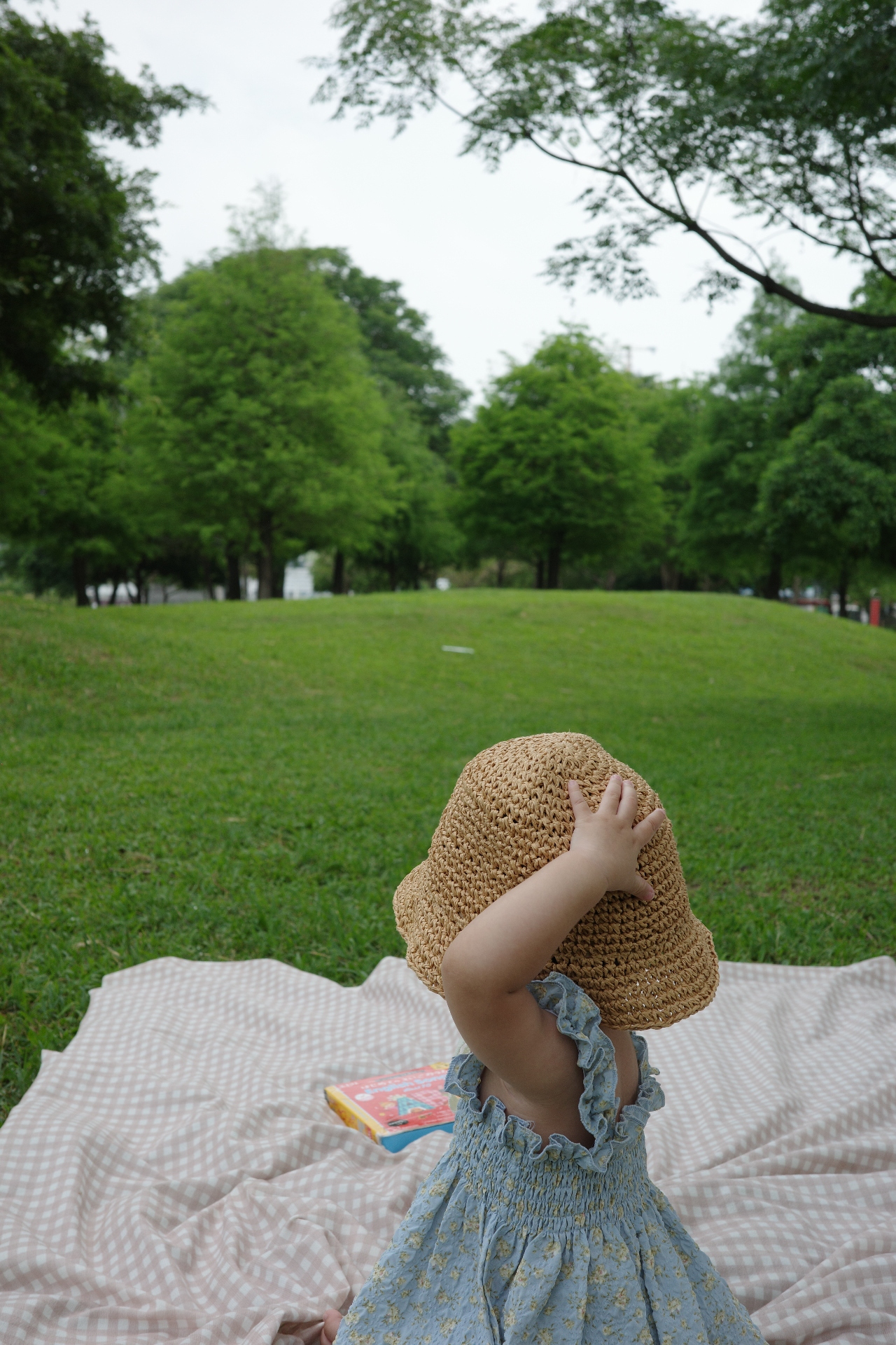 棕色現貨｜夏日慵懶綁帶鐘型草帽