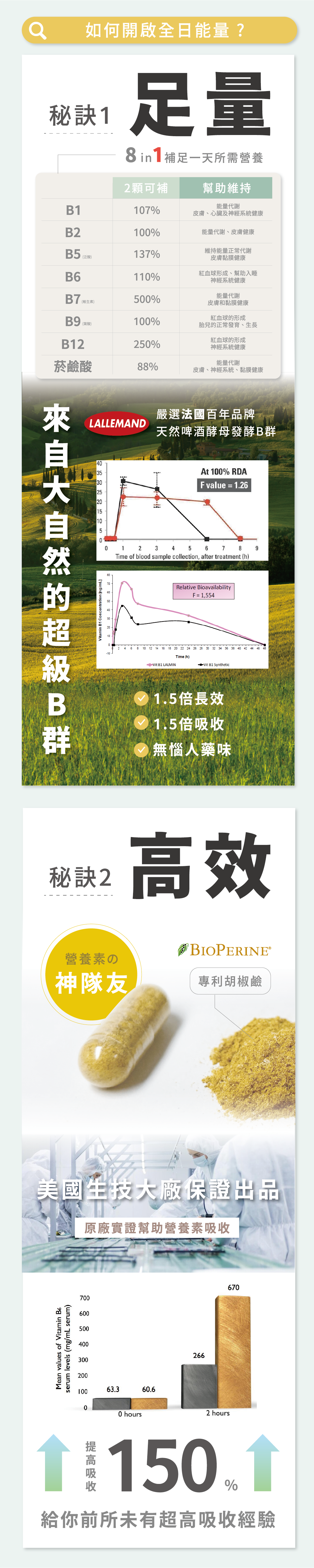 綜合酵母B群的優勢與成分