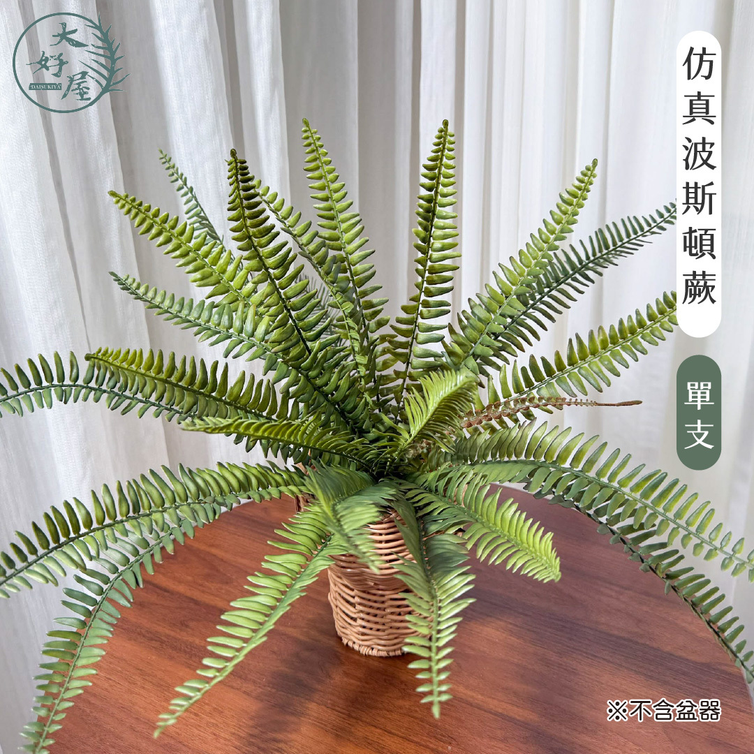 仿真波士頓蕨