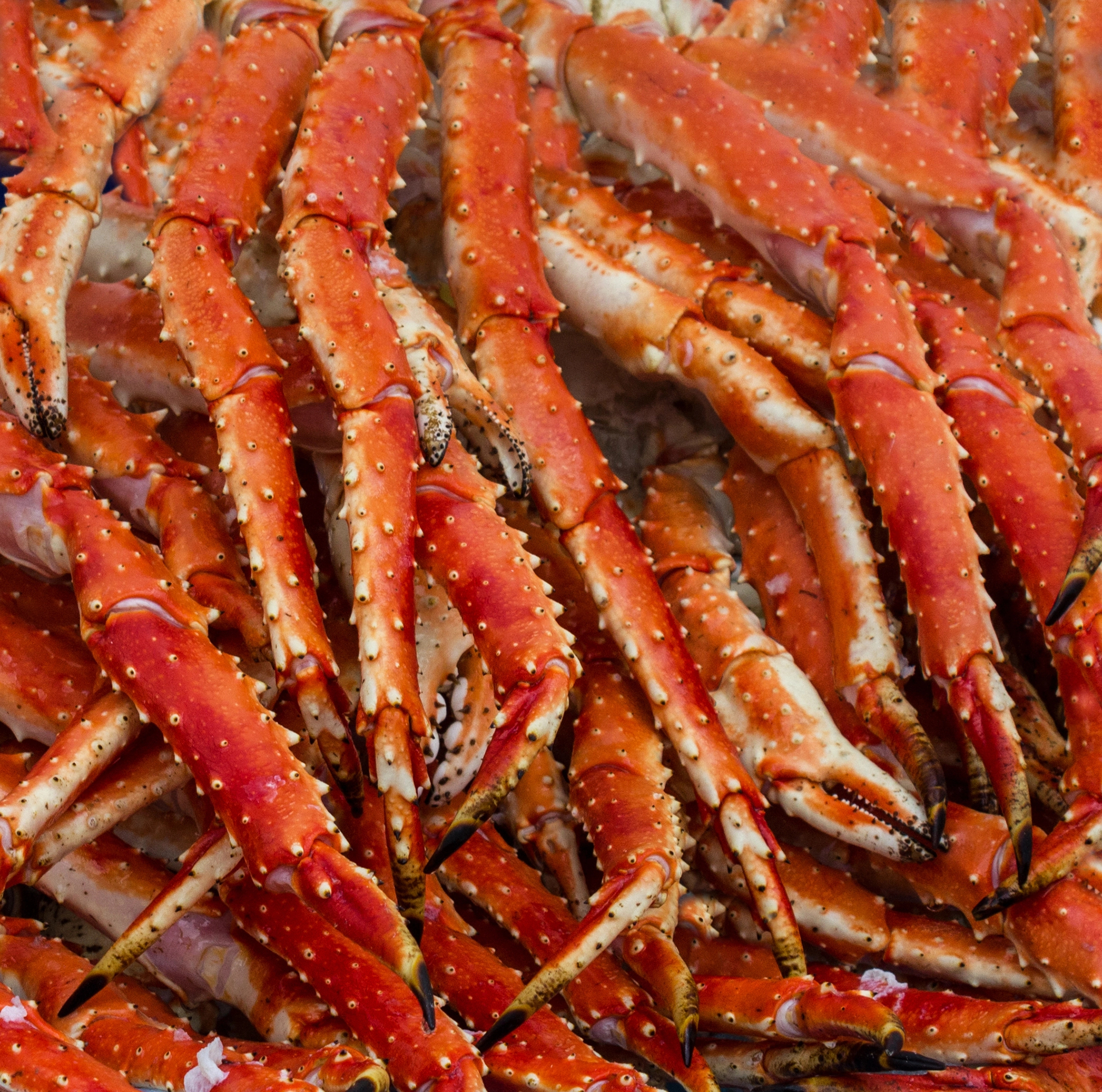 Cooked Alaskan King Crab Legs (1kg) (Frozen)