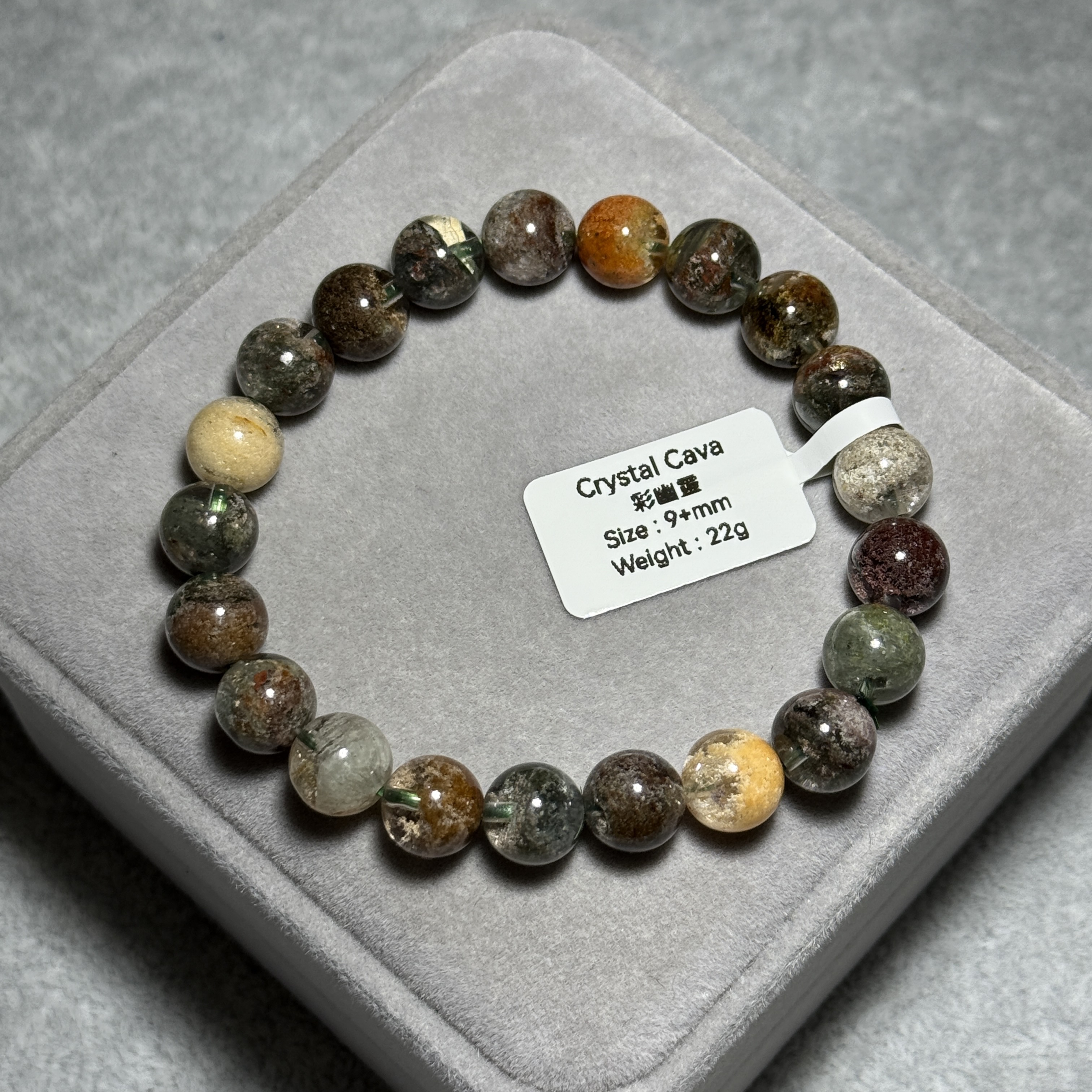 彩幽靈/四季幽靈 9+mm CGS1556