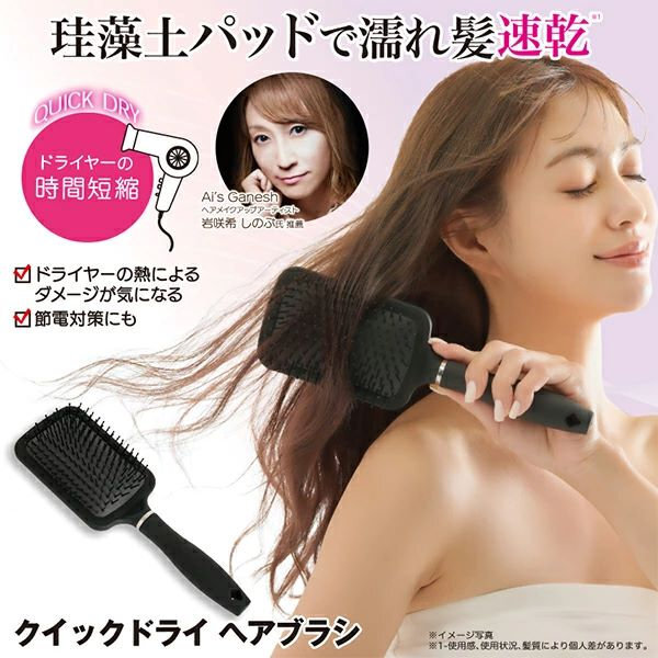 現 貨丨Needs Labo 矽藻快乾毛刷梳