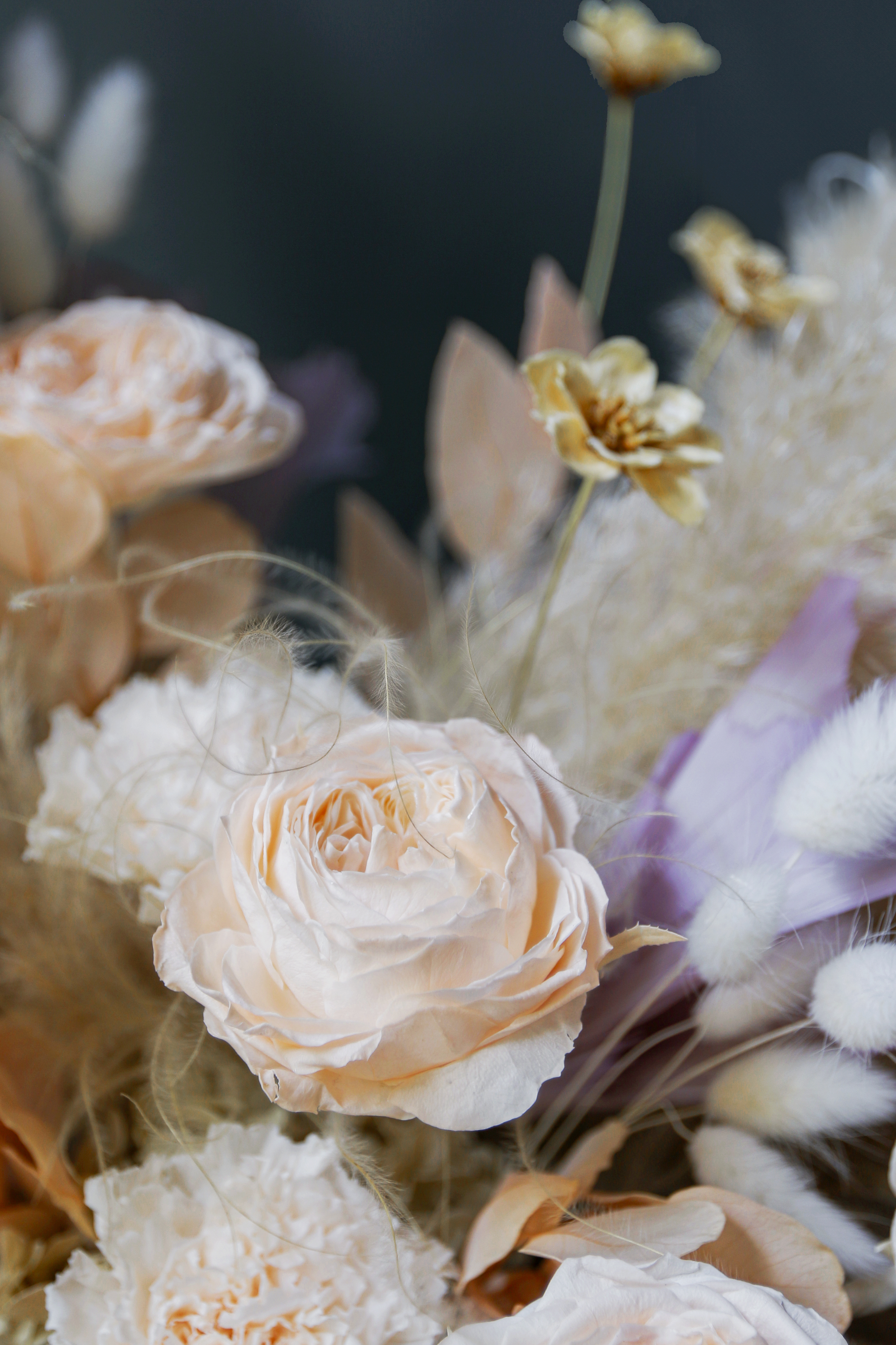 Ex Soft〈不凋花 永生花〉