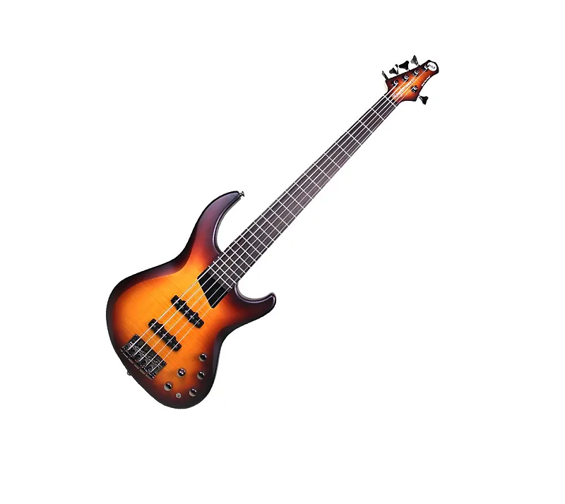 Michael Tobias Design / MTD Kingston Saratoga DLX 5 5st